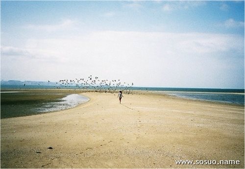 �μ��첻�ܺ���,�����μ��첻�ܺ���