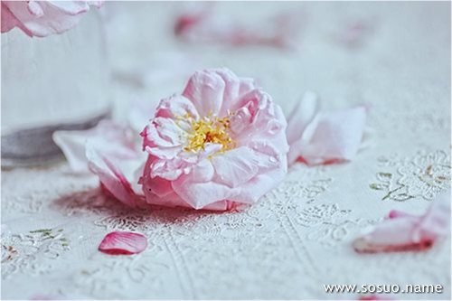 �μ��ײ����н�ʬ,�����μ��ײ����н�ʬ