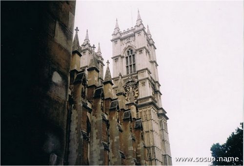 �μ��ӹ����˵�è����,�����μ��ӹ����˵�è����