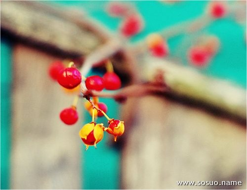 �μ���ֻ�ڹ�����,�����μ���ֻ�ڹ�����