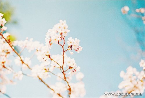 �μ�ѧ������,�����μ�ѧ������