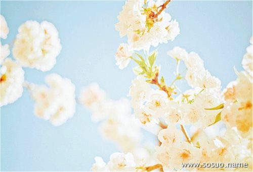 �μ����ɩ�ӱ��ź��ӻ��ϼ�,�����μ����ɩ�ӱ��ź��ӻ��ϼ�