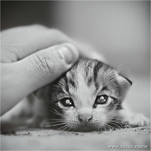 �μ�һ�������ﳵ׷��,�����μ�һ�������ﳵ׷��