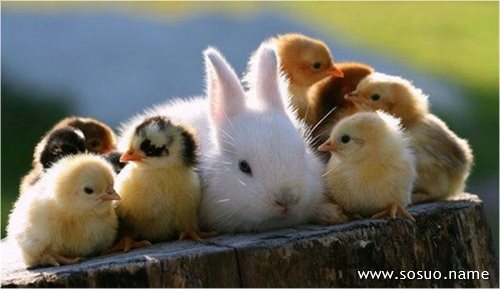 �μ���ͳ�����,�����μ���ͳ�����