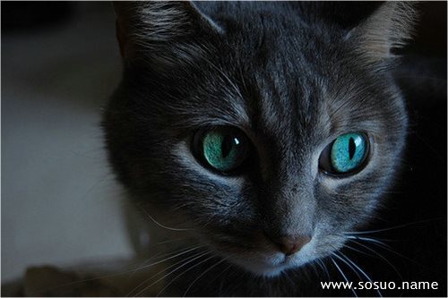 �μ��ŵױ����������,�����μ��ŵױ����������