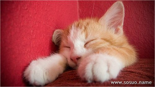 �μ�Ů��ɱĸ��,�����μ�Ů��ɱĸ��