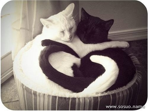 �μ��е�ǣ�ҵ���,�����μ��е�ǣ�ҵ���