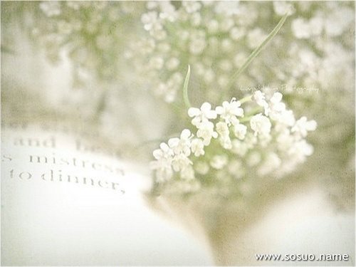 �μ��Լ�ƨ�ɳ���������ŧ,�����μ��Լ�ƨ�ɳ���������ŧ