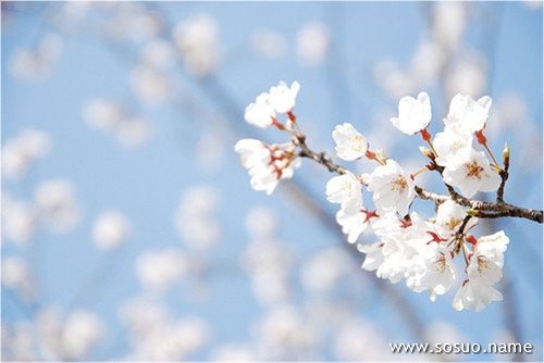 �μ���ͬ���ۿ���,�����μ���ͬ���ۿ���