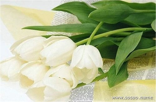 �μ�۬��ϼ,�����μ�۬��ϼ