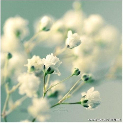 �μ�·���˼ҵ�������·��,�����μ�·���˼ҵ�������·��