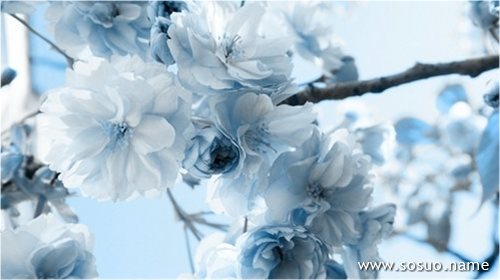 �μ�ǧ�����,�����μ�ǧ�����