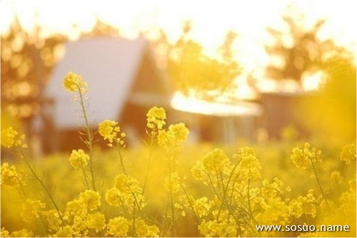 �μ��ͽ�������,�����μ��ͽ�������