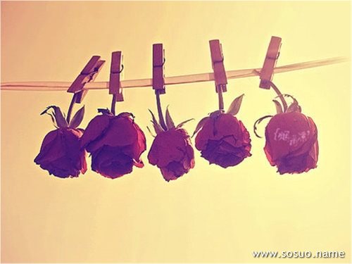�μ�һ���ܴ���ɫ�ڵ���,�����μ�һ���ܴ���ɫ�ڵ���