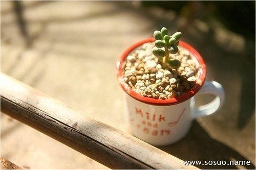 �μ�Ů����������ȥ����,�����μ�Ů����������ȥ����
