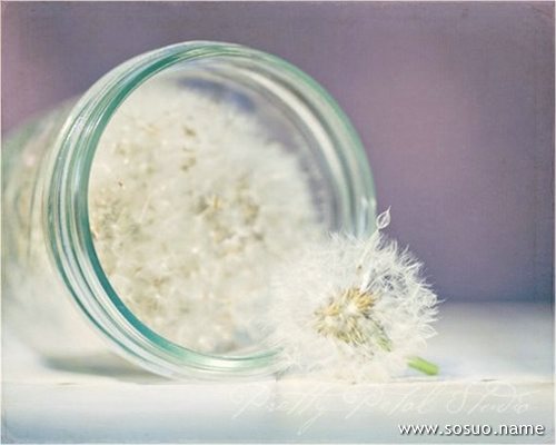 �μ�����͵���Ӹ���,�����μ�����͵���Ӹ���