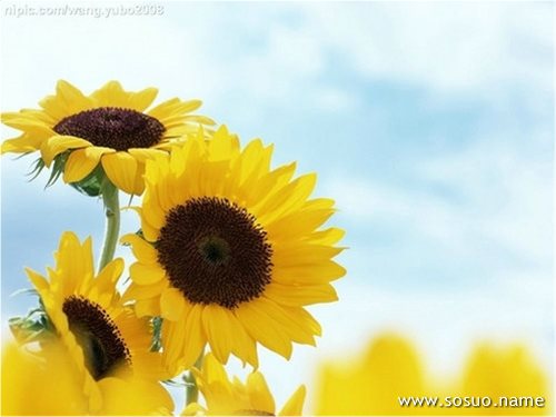 �μ�����������Ū������,�����μ�����������Ū������