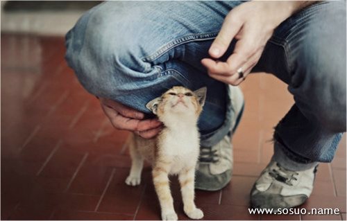�μ��̵������,�����μ��̵������
