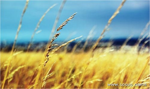�μ�������Ů���ѵ��ز�,�����μ�������Ů���ѵ��ز�
