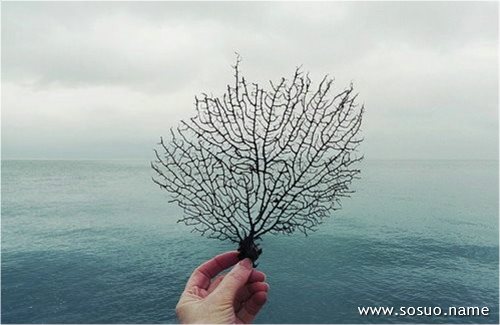 �μ��T�ߵ��_̤܇,�����μ��T�ߵ��_̤܇