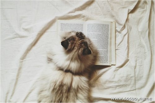 �μ���β,�����μ���β