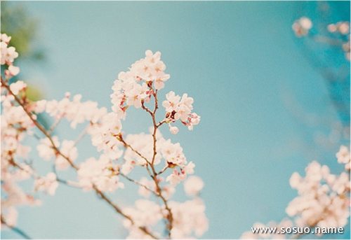 �μ��������̽��ҁ�����A,�����μ��������̽��ҁ�����A