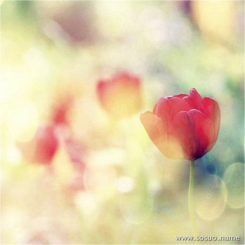 �μ���ʦд������,�����μ���ʦд������