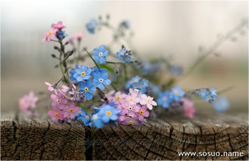 �μ�����Զ��,�����μ�����Զ��