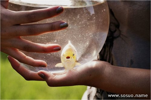 �μ��������Ա�����,�����μ��������Ա�����