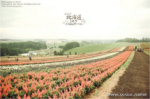 �μ���ʮ�׵Ļ���,�����μ���ʮ�׵Ļ���