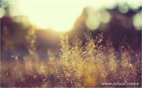 �μ���׹,�����μ���׹