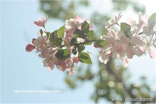 �μ�������������ھ�ҧ�ұ���,�����μ�������������ھ�ҧ�ұ���