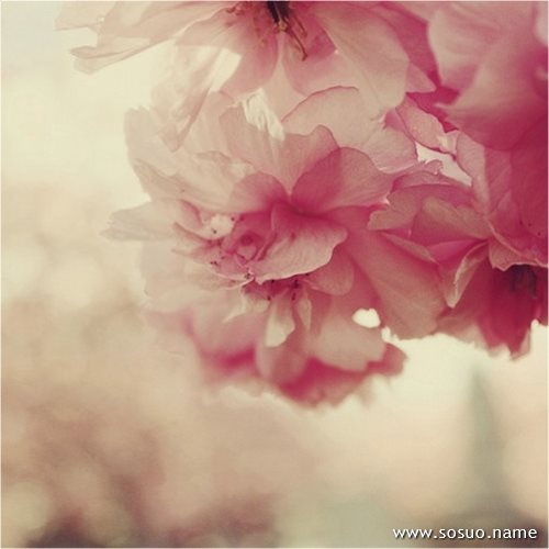 �μ��������Ҽ�,�����μ��������Ҽ�