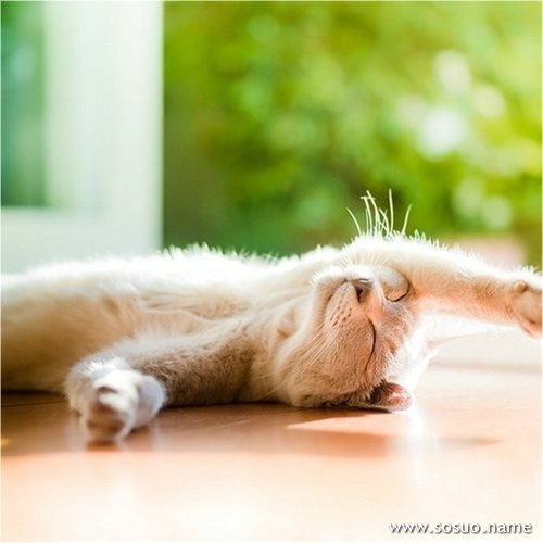 �μ�������ˮ,�����μ�������ˮ
