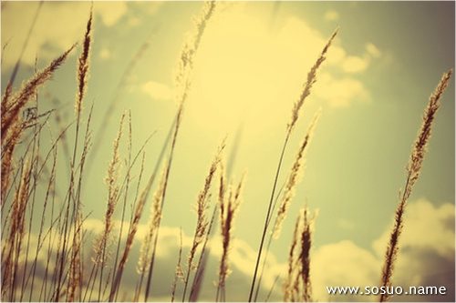 �μ��ҵ��������ص�λ,�����μ��ҵ��������ص�λ