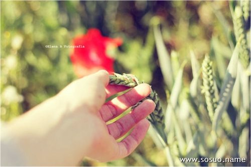 �μ����������˲���,�����μ����������˲���
