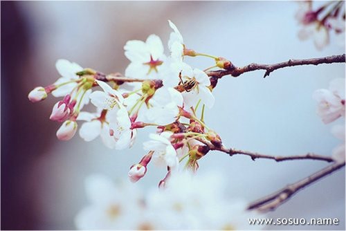 �μ�����һ��ɳ�����ҷź�����,�����μ�����һ��ɳ�����ҷź�����