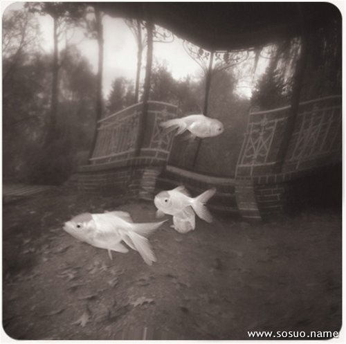 �μ������ؼ����г�,�����μ������ؼ����г�
