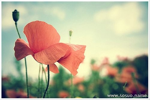 梦见老师提问我不会好不好?