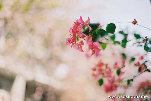 做梦梦见椅子是什么意思 做梦梦见椅子是什么意思