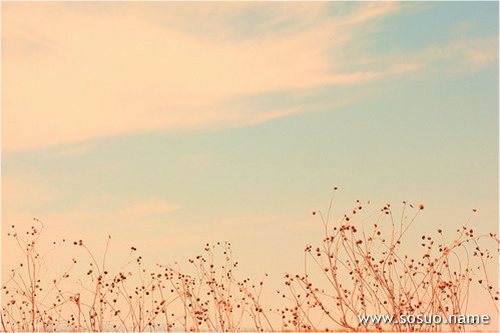 �μ�ǽ�Ϲ�Ь,�����μ�ǽ�Ϲ�Ь