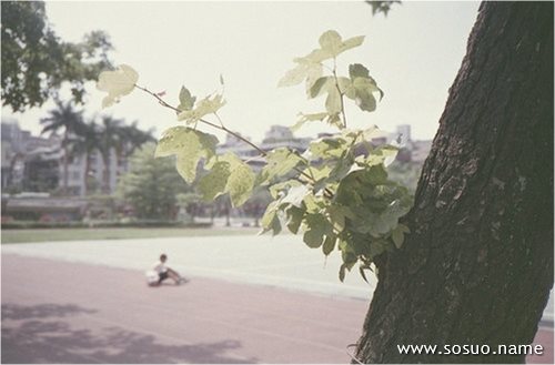 �μ����˳��Ĺ�,�����μ����˳��Ĺ�
