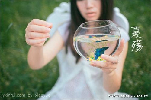 �μ���ϲ�g������Ӿ��,�����μ���ϲ�g������Ӿ��