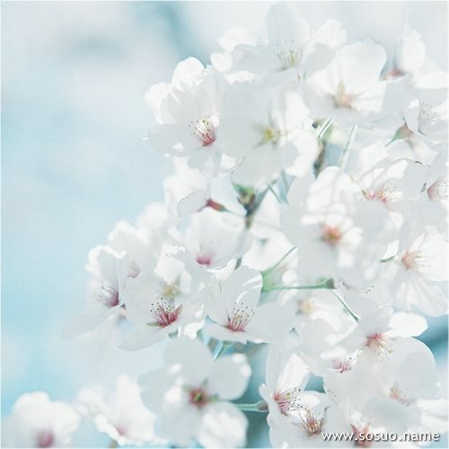 �μ��Լ������ĺ���,�����μ��Լ������ĺ���