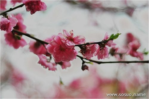 �μ��д󽱷����,�����μ��д󽱷����