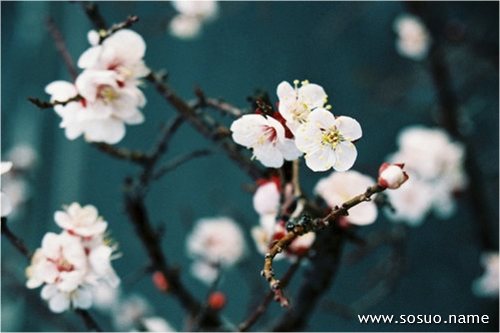 �μ�����·��ͷ���,�����μ�����·��ͷ���