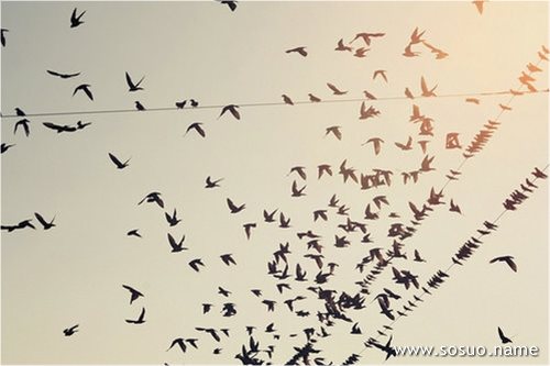 �μ��˸����ӳ���,�����μ��˸����ӳ���