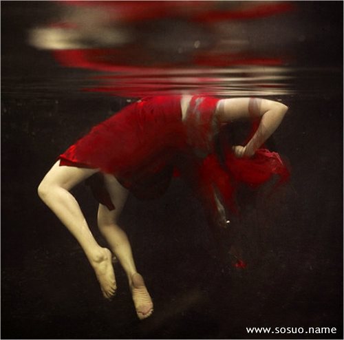 �μ������ɽ���ֻ��ȸ,�����μ������ɽ���ֻ��ȸ
