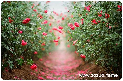 �μ�����ʶ��������,�����μ�����ʶ��������