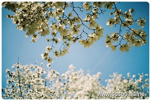 �μ��Լ�������,�����μ��Լ�������